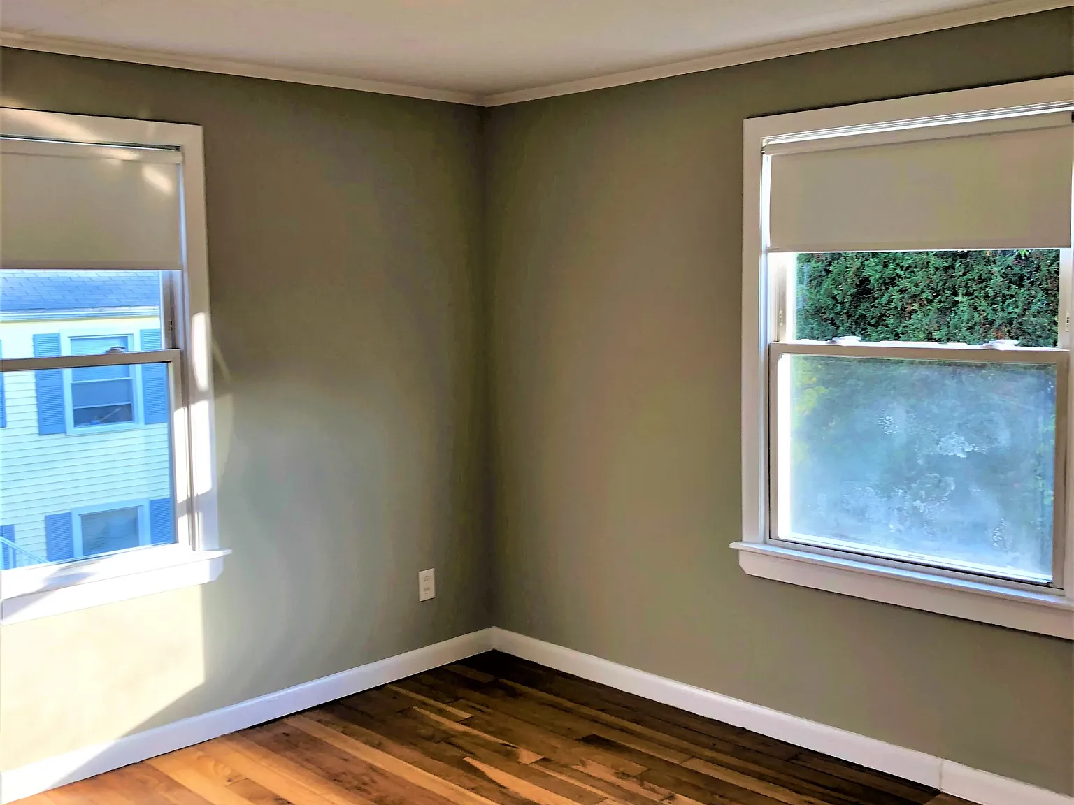 1 bed, 542 sqft, $1,895 — Photo 4