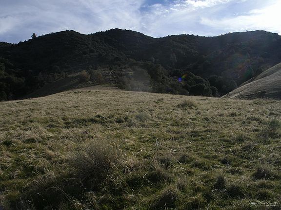 2nd image of 0 Siskiyou Dr #183