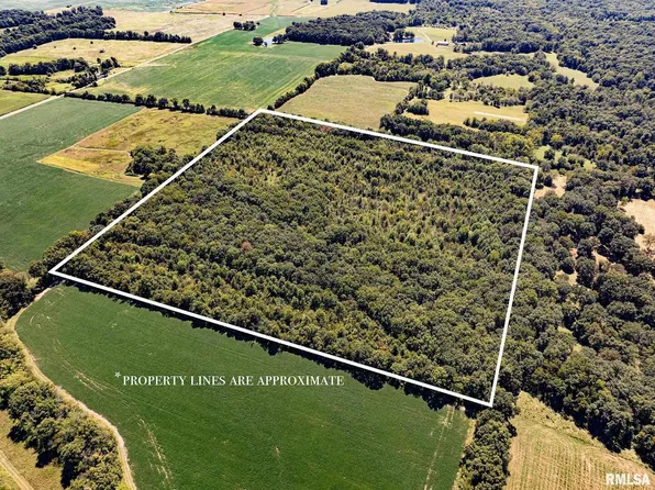 0 Hanna Rd, Kinmundy, IL 62854