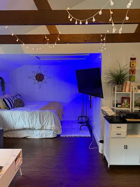 Studio, 400 sqft, $1,200 — Photo 3