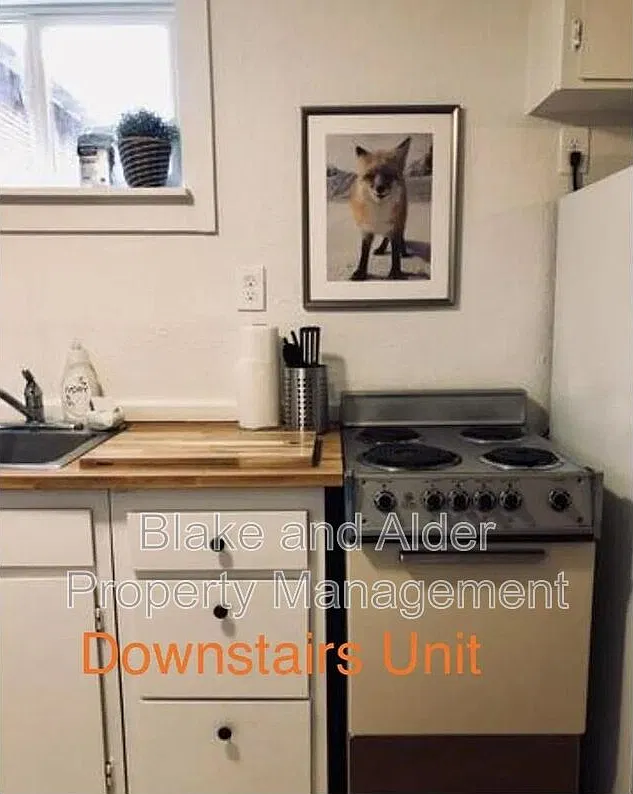 1 bed, 1.0 bath, 1000 sqft, $1,295 — Photo 3