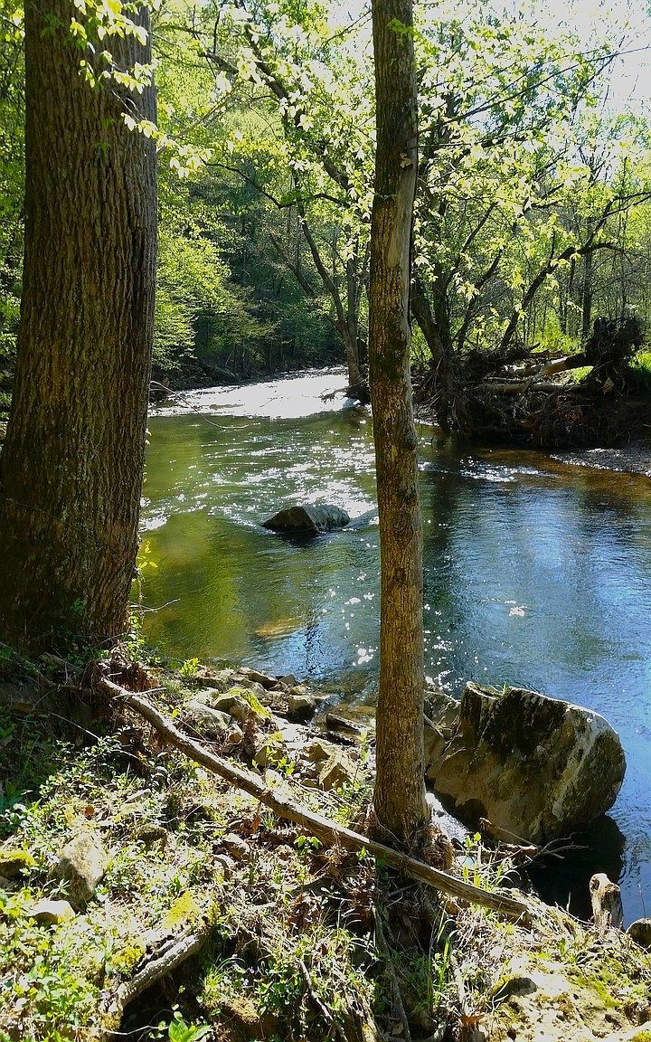 673 Old Highway 12, Ashland City, TN 37015 Zillow