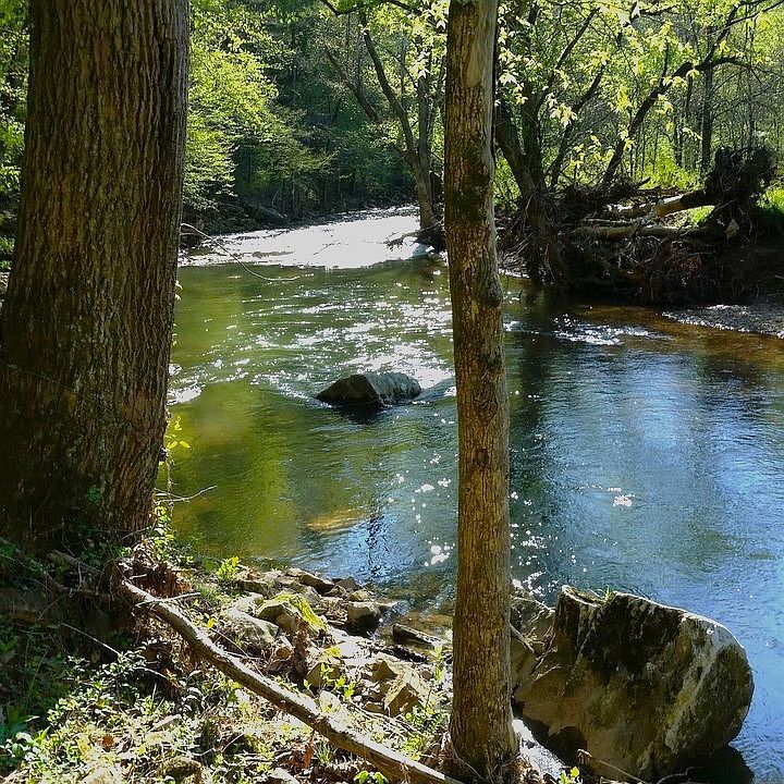 673 Old Highway 12, Ashland City, TN 37015 Zillow