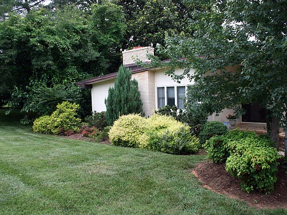 Mature Landscaping
