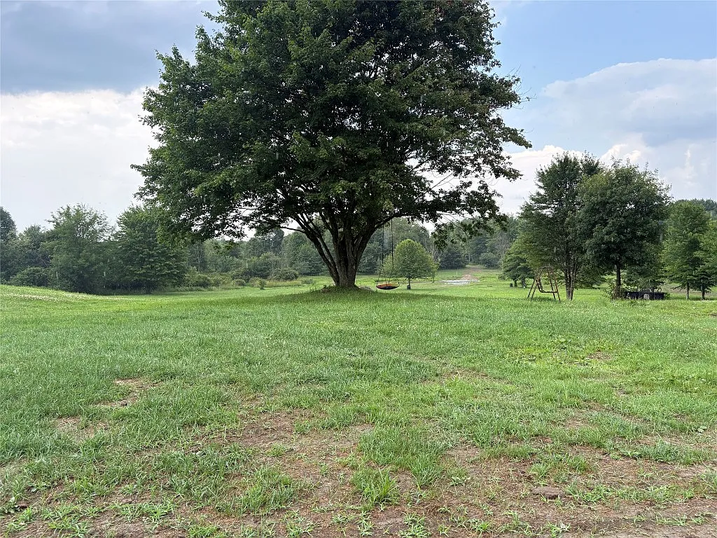 9749-9801 Moses Rd photo 1