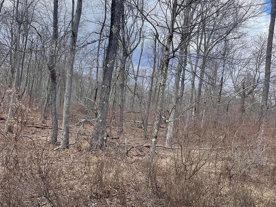 2nd image of A8 Shawnee Dr