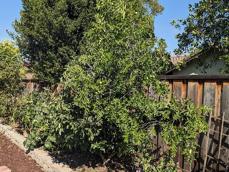 1941 Oro Dr — Photo 23