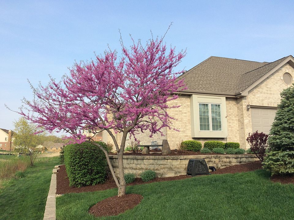 1st image of 16178 S Alissa Ct