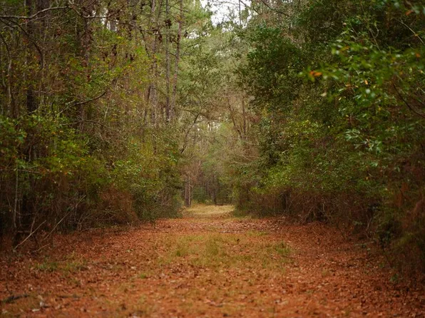 Fm 418, Kountze, TX 77625