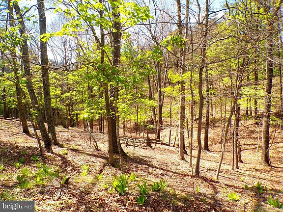 4th image of LOT 120 Cacapon Rd