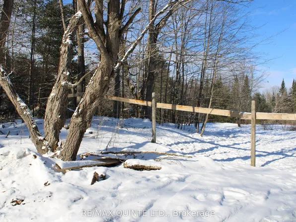 494 Twin Sister Lakes Rd, Marmora And Lake, ON K0K 2M0