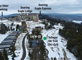 M 22 Sawmill St, Snowshoe, WV 26209