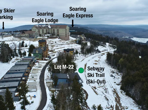 M 22 Sawmill St, Snowshoe, WV 26209