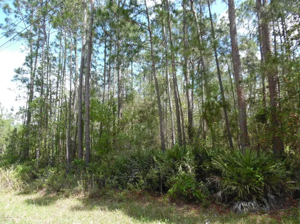 2535 Zunnia St, Middleburg, FL 32068