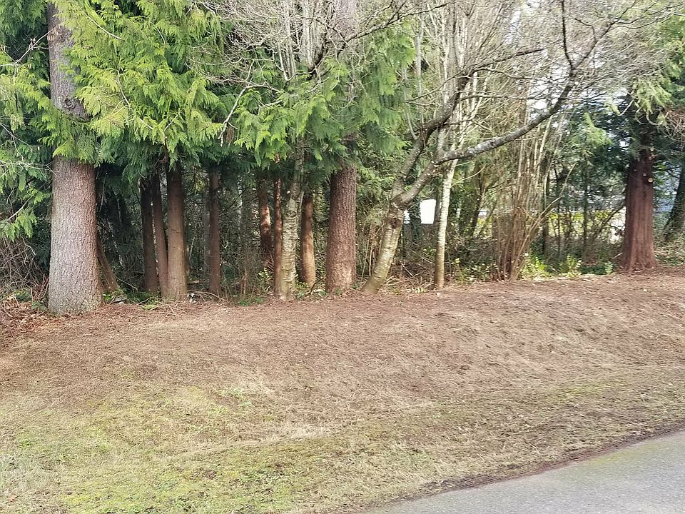 Front view of  the site.