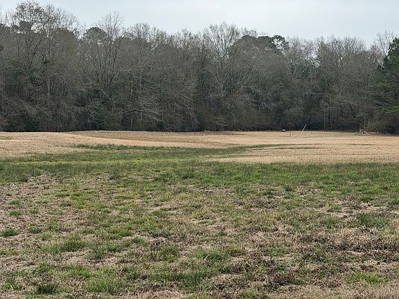 4th image of 71 Thomas Ed Rustin Rd