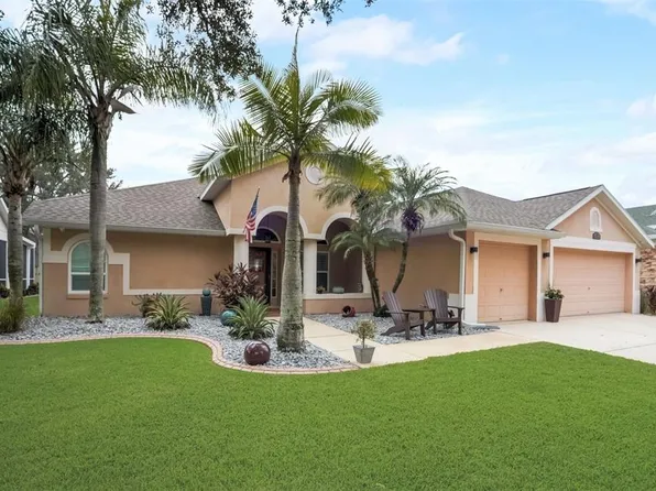 7259 Bucks Ford Dr, Riverview, FL 33578