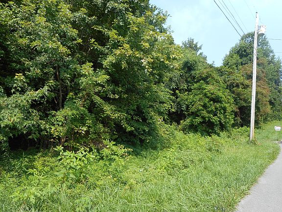 5th image of Woodland Dr
