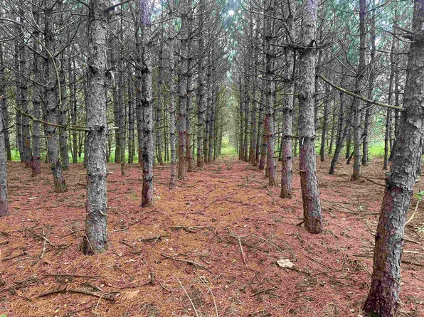 24/ACRE S Happersett Ln, Redgranite, WI 54970