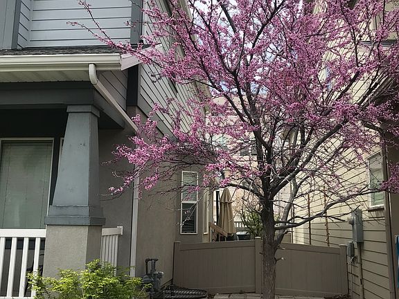 2nd image of 11332 S Daytide Ave