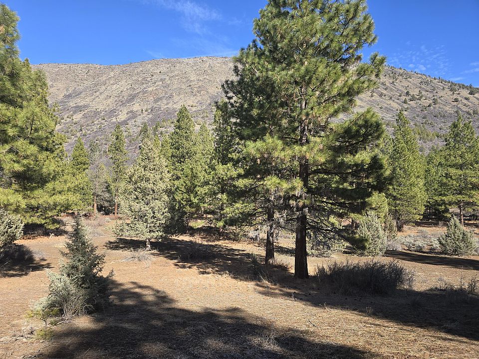 1st image of Wilderness Way #29