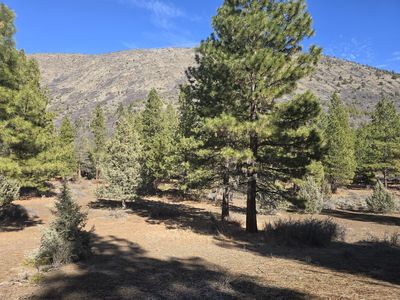 Wilderness Way #29, Klamath Falls, OR, 97601