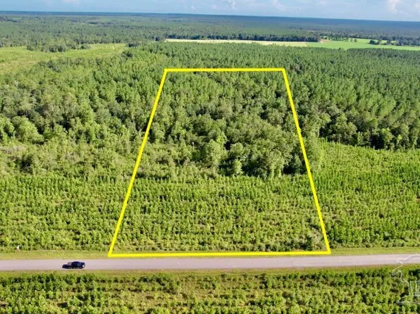 LOT 18 Mineral Springs Rd, Jay, FL 32565