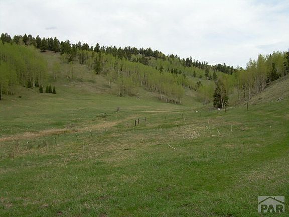 4th image of 7075 State Highway 165