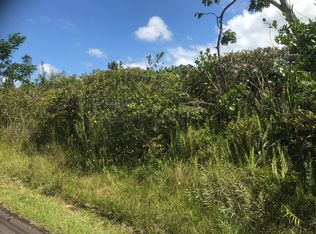 16th Avenue Laau Paina LOT 688, Keaau, HI 96749