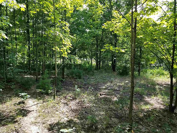 4th image of S Fritz Rd