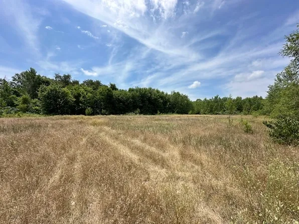 151 Norfolk Way Lot 59, Essex, IL 60935