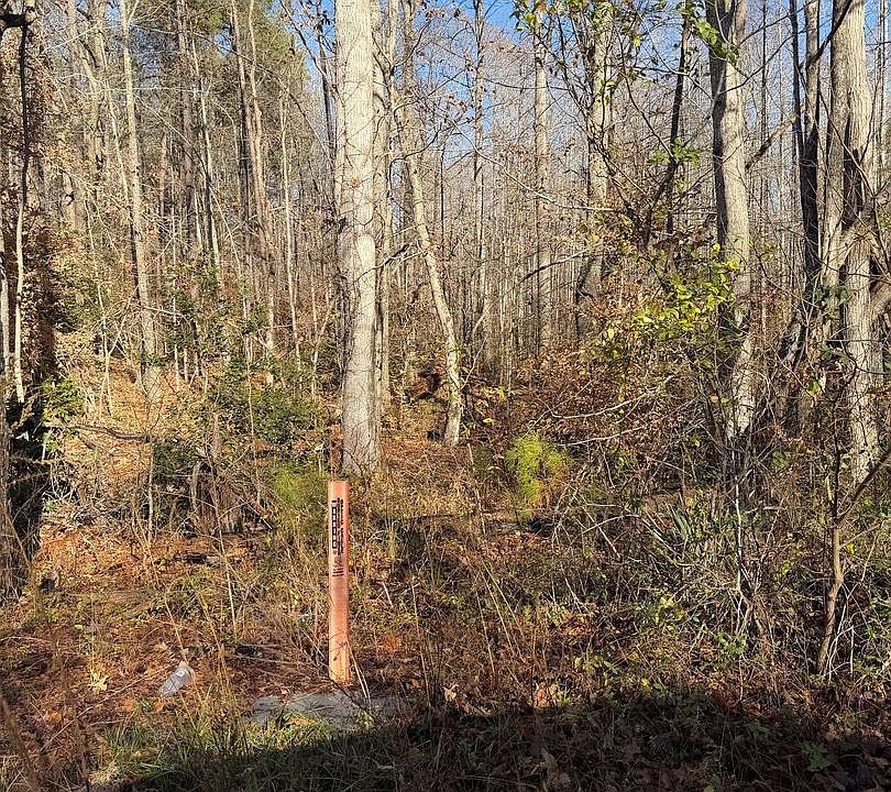 2nd image of LOT 2B Turkey Acres Rd