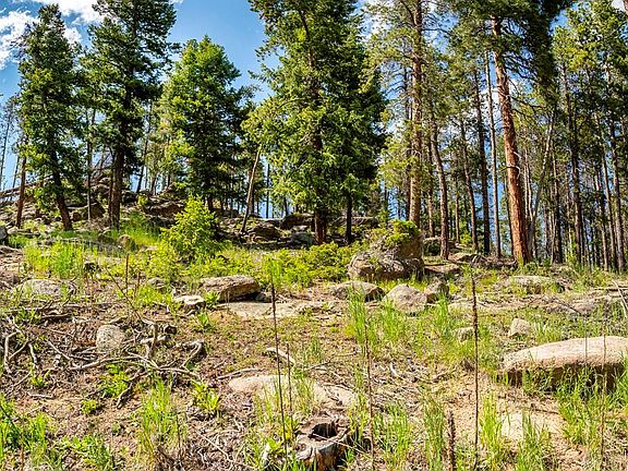 5th image of 7442 Brook Forest Way