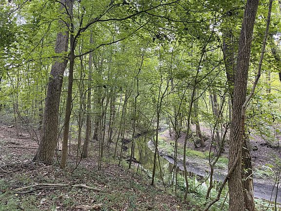 3rd image of 249 County Road 4
