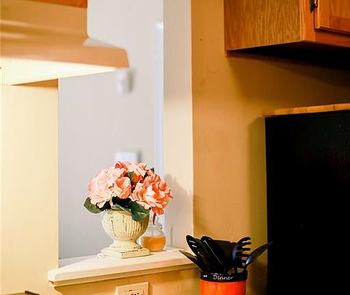 3rd image of 523 Mystic Dr APT A