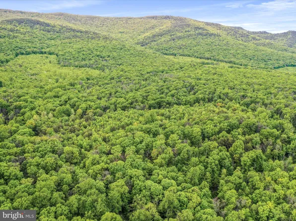 0 Bonnet Hill Rd, Maurertown, VA 22644