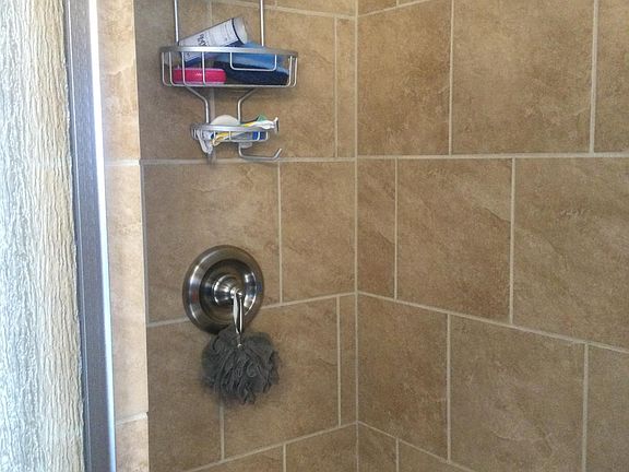 Main floor bathroom shower.