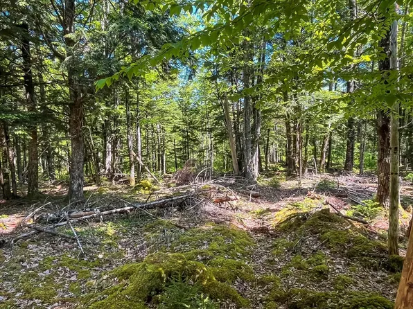 Conquerall Rd Lot 1000, Conquerall Bank, NS B4V 0J9