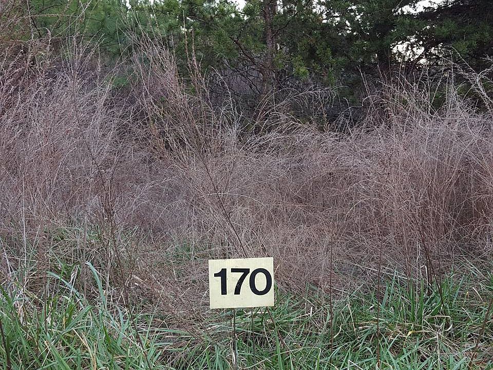 1st image of Lot #170 Hidden Cove Ln