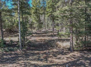 0 Evergreen Ln, Cloudcroft, NM 88317