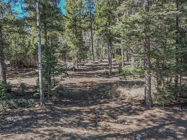 0 Evergreen Ln, Cloudcroft, NM 88317