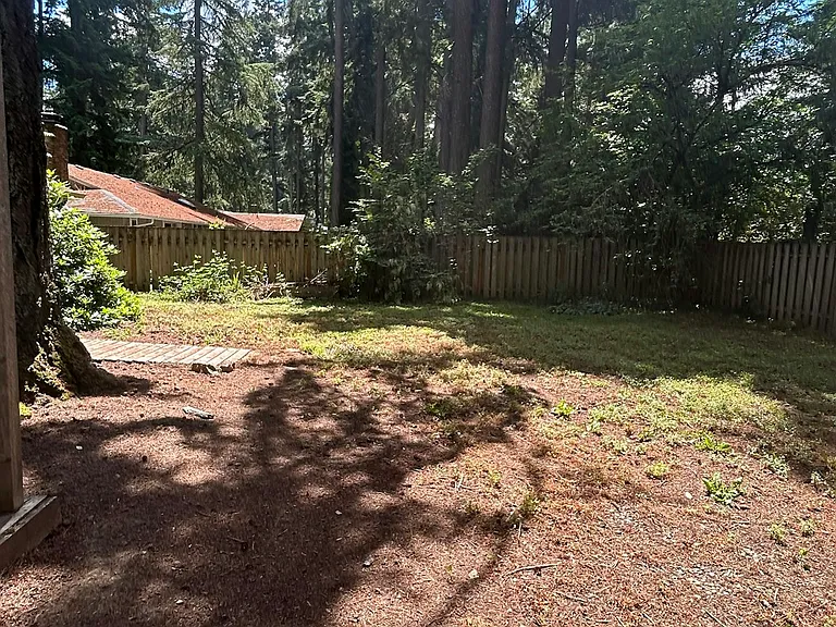 Backyard, .25 Acre Lot