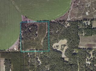 236 NE 672nd St, Old Town, FL 32680