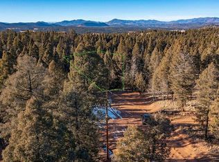 60 Serenity Cir, Florissant, CO 80816