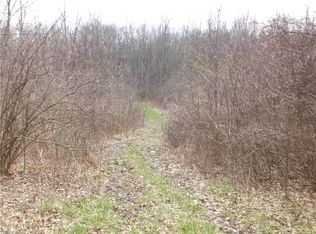 6264 Newton Falls Rd, Ravenna, OH 44266