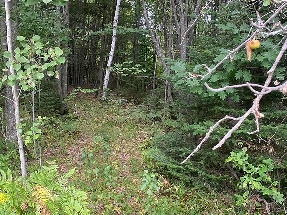 2nd image of 0 W Pendills Lake Rd
