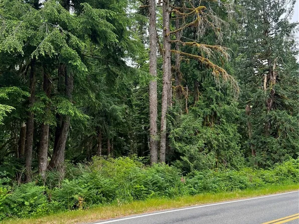 0 XXX Mtn Loop Highway, Granite Falls, WA 98252