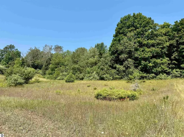 0 Alden Mdws #5, Alden, MI 49612