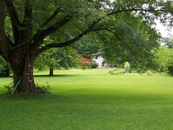view from back of property