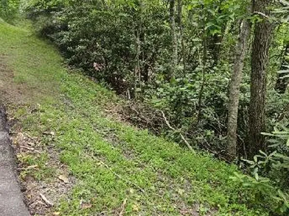 LOT E24 Otter Creek Trl, Fancy Gap, VA 24328